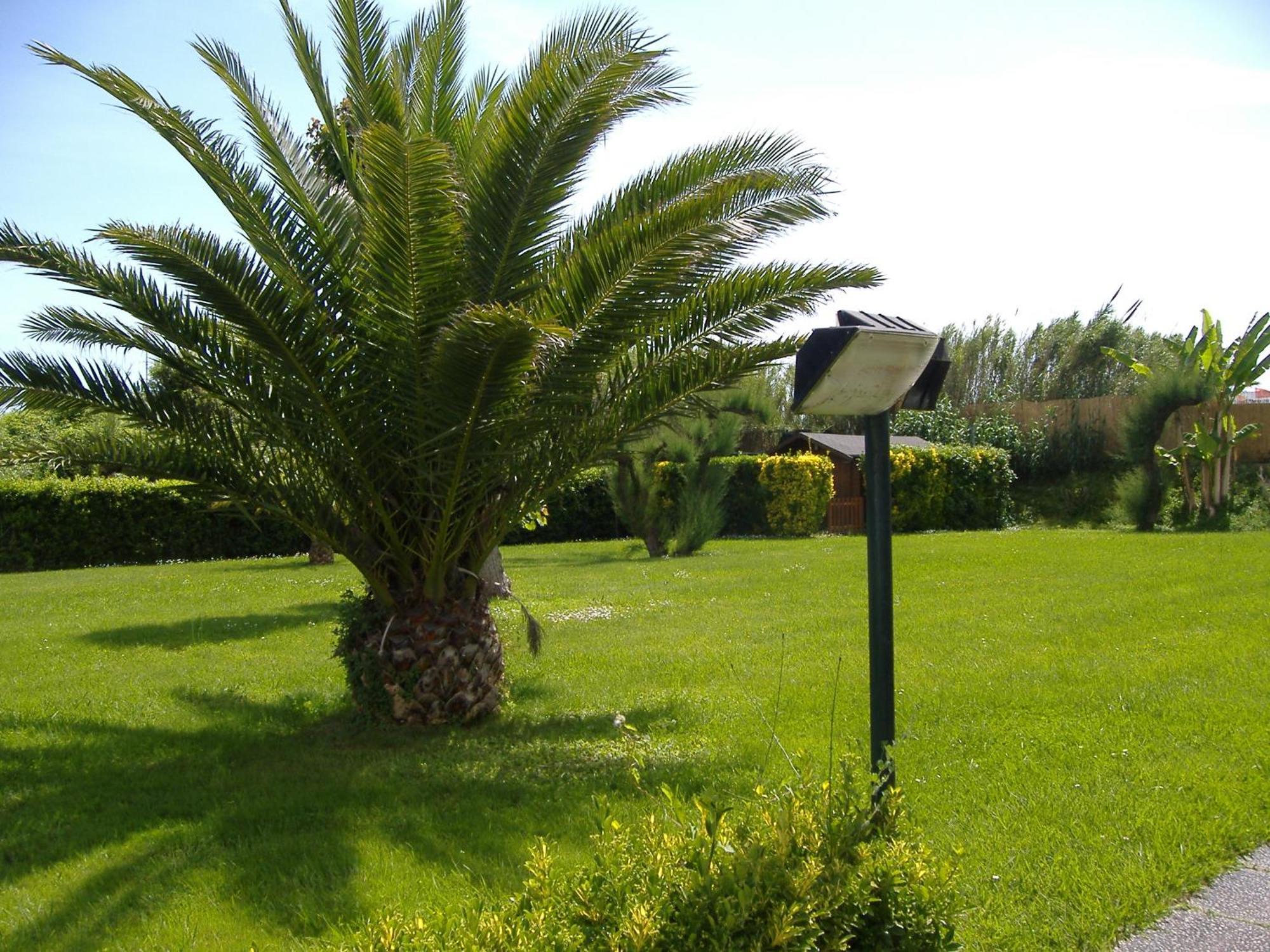 Hotel Turandot Torre del Lago Puccini Εξωτερικό φωτογραφία